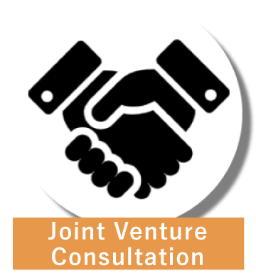 Joint Venture Consultation